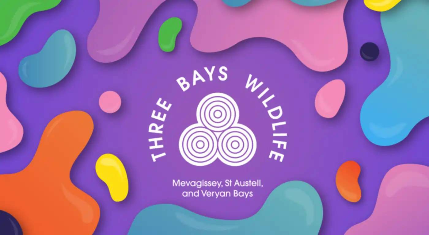 Three Bays Wildlife website preview